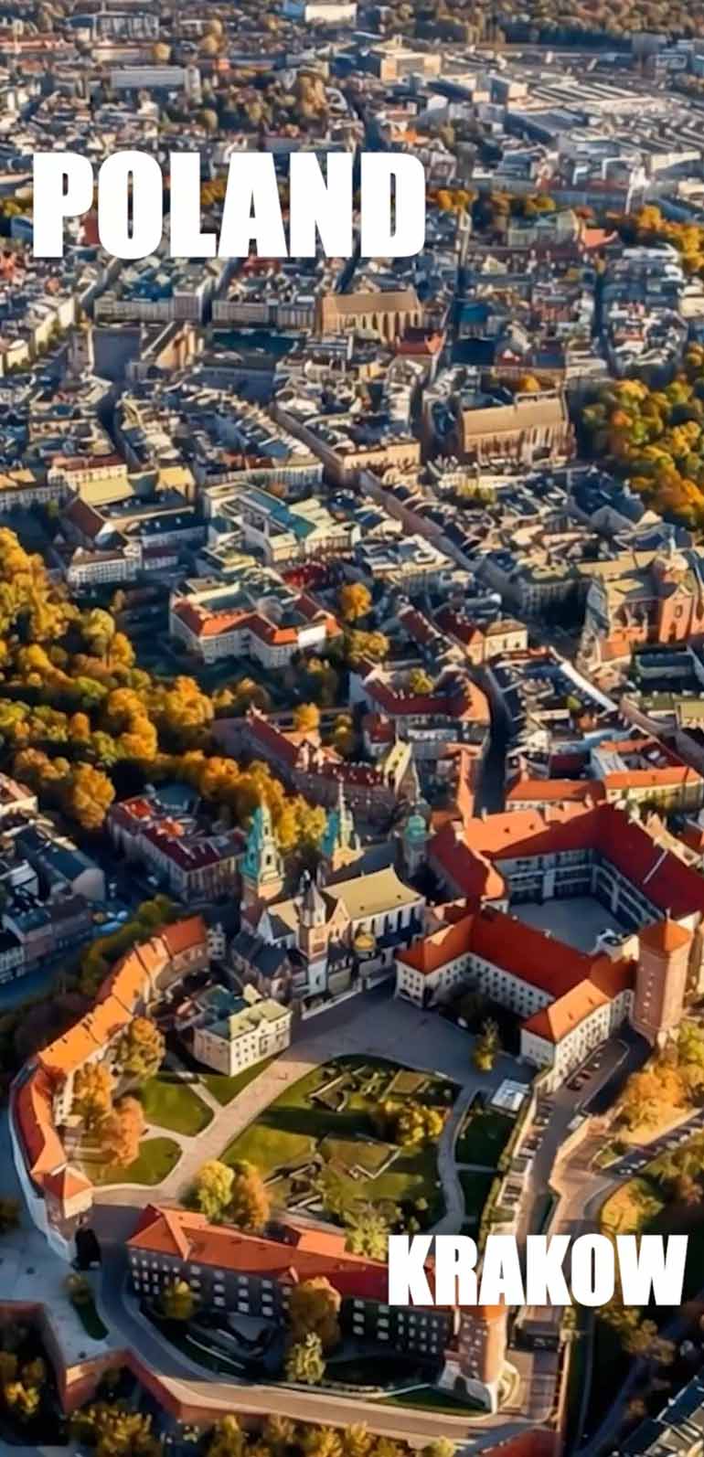 Produkcja instrukcji wideo – marka Telimena